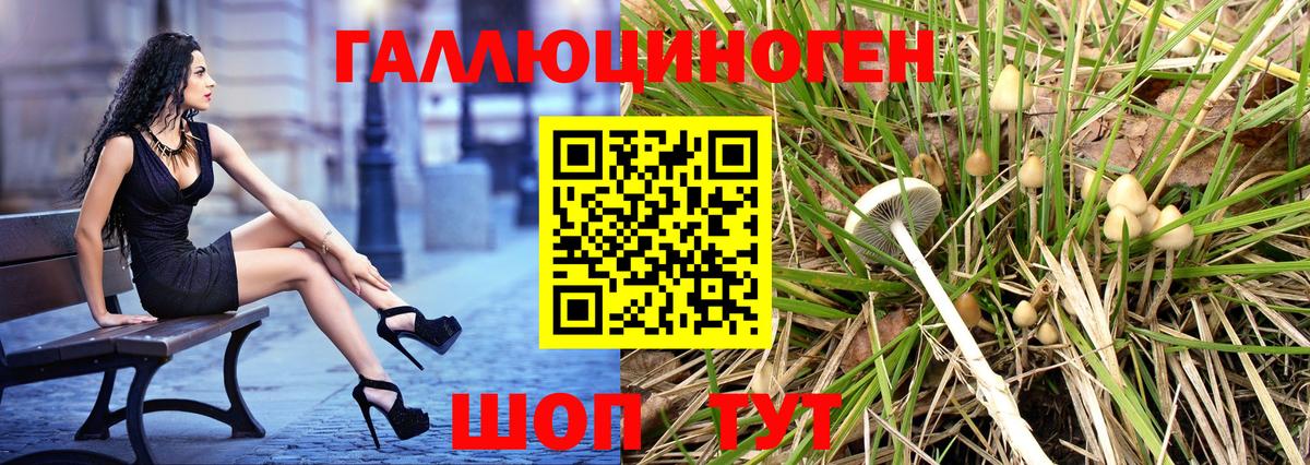 дарнет шоп  Вход с VPN  Норильск  Псилоцибиновые грибы MAGIC MUSHROOMS 