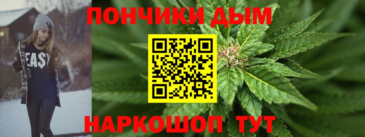 Конопля гибрид Норильск